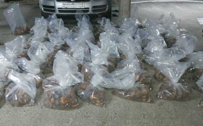 Cape Town police arrest suspects for possession of illegal abalone