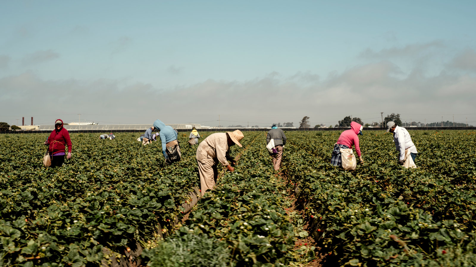 Farm owner arrested for allowing crossing of illegal immigrants as well as stolen vehicles