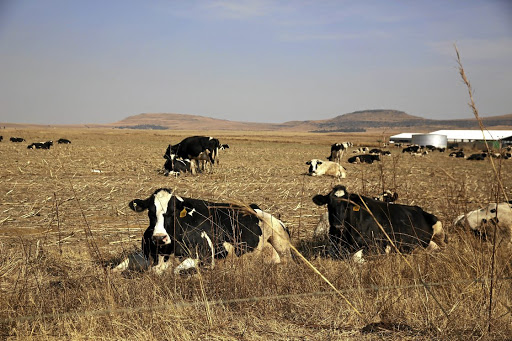 Farmer found dead near Vrede in Free State