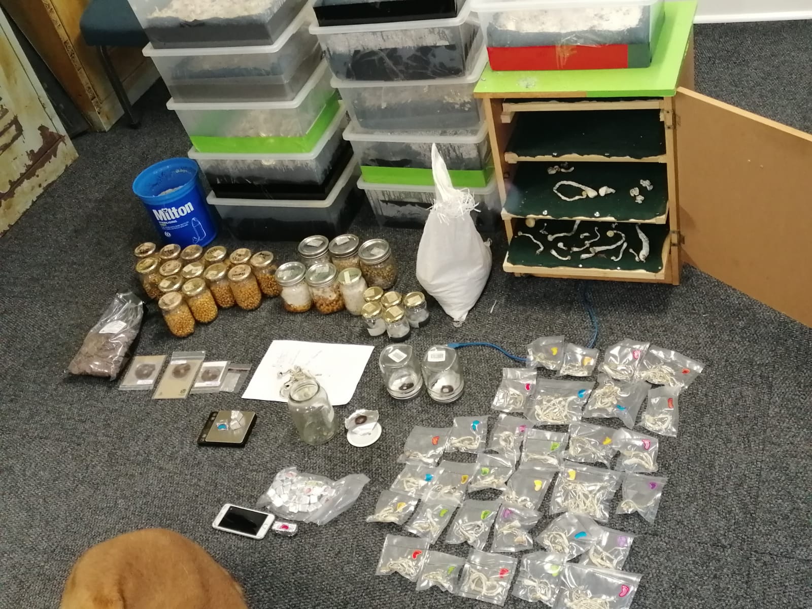Police arrested a 36-year-old man for drugs with an estimated street value of R46 000 at a makeshift laboratory - Western Cape