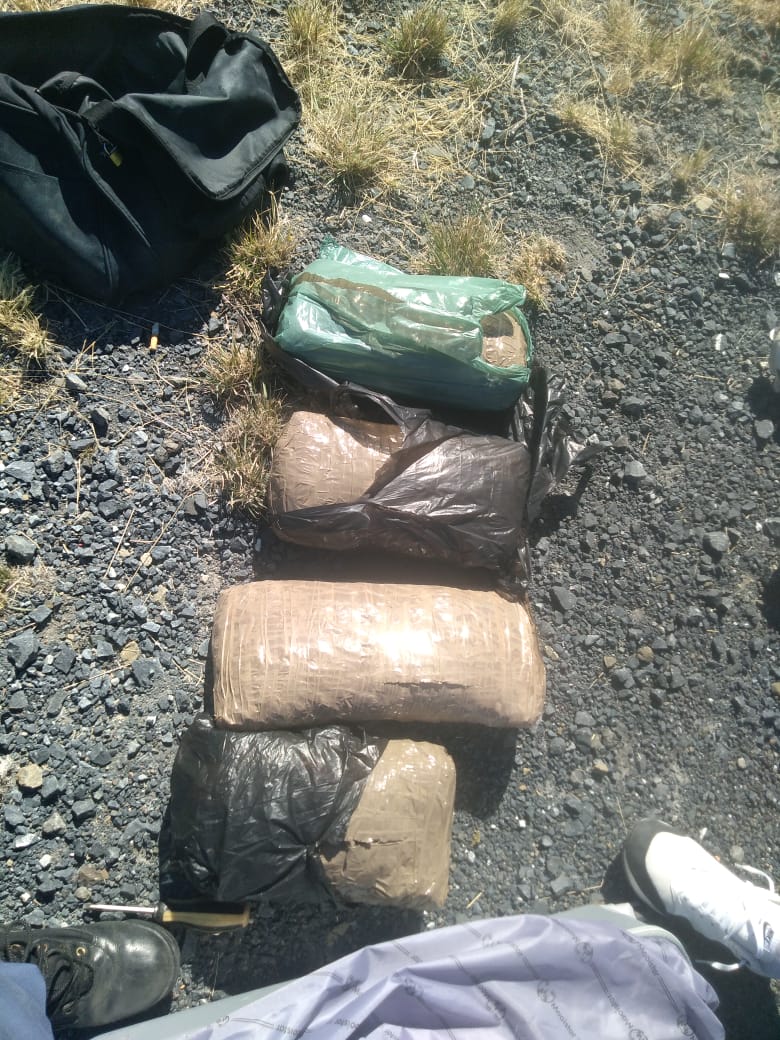 Police confiscates dagga worth R200 000 along N-1 - Western Cape