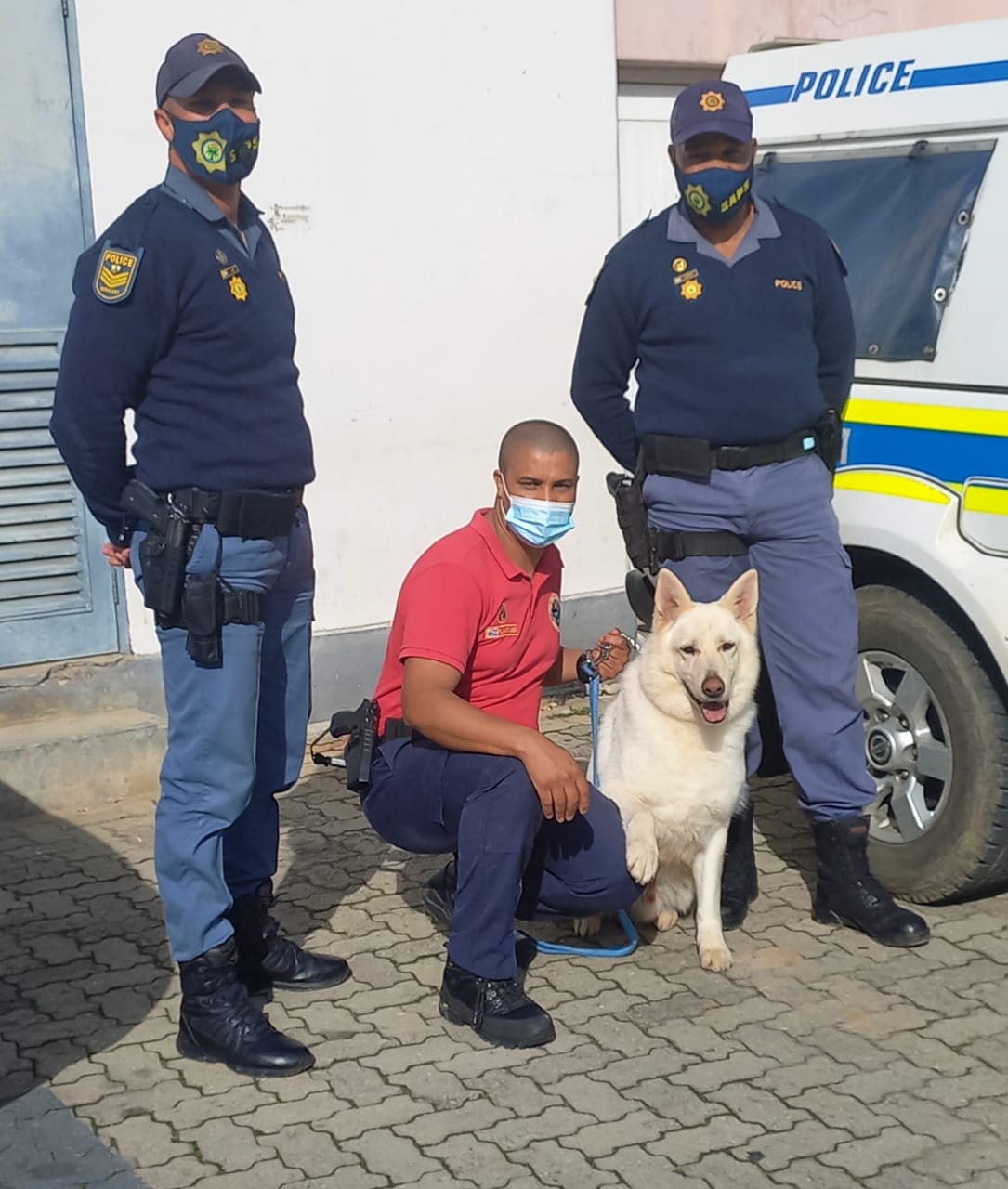Intensive search by Tsitsikama K9 Unit leads to safe return of 2-year-old missing girl in Knysna - Western Cape